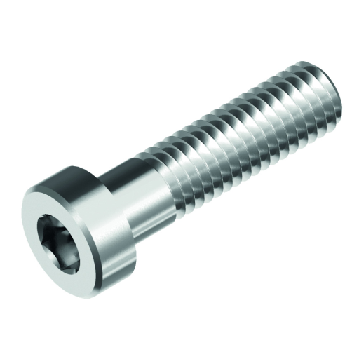 BOLT DIN6912 IN. 6KT. A2  4X16
