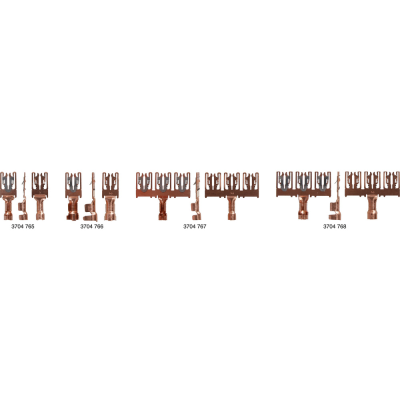 Hauptbild 1